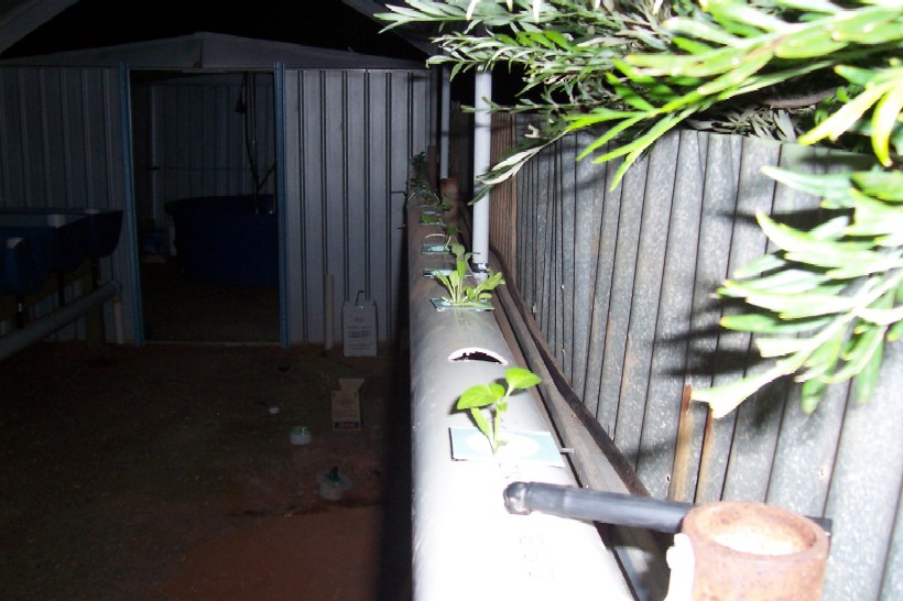 Gnash next system 023.jpg