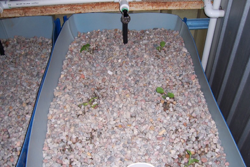 Gnash next system 022.jpg