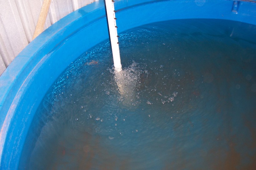 Gnash next system 021.jpg