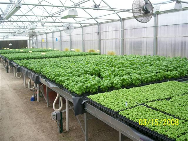 100_0440 (Small).jpg