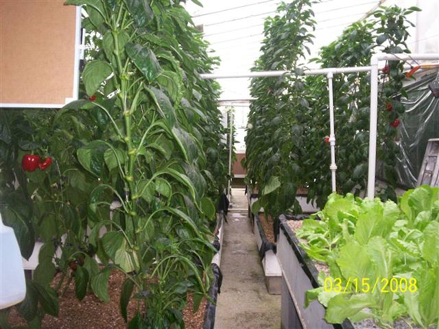 100_0442 (Small).jpg