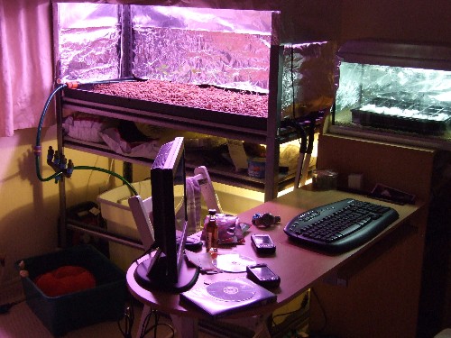 the office small.jpg