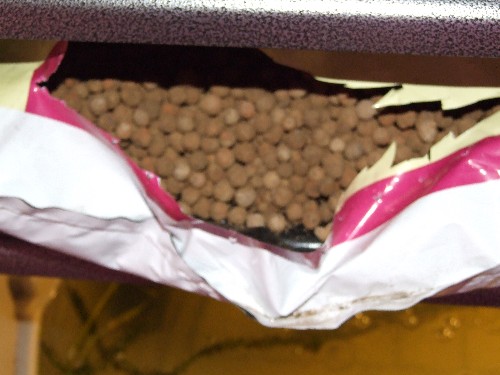 expanded clay, needs a gud washin.jpg