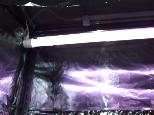 new light with reflector & tin foil!.jpg