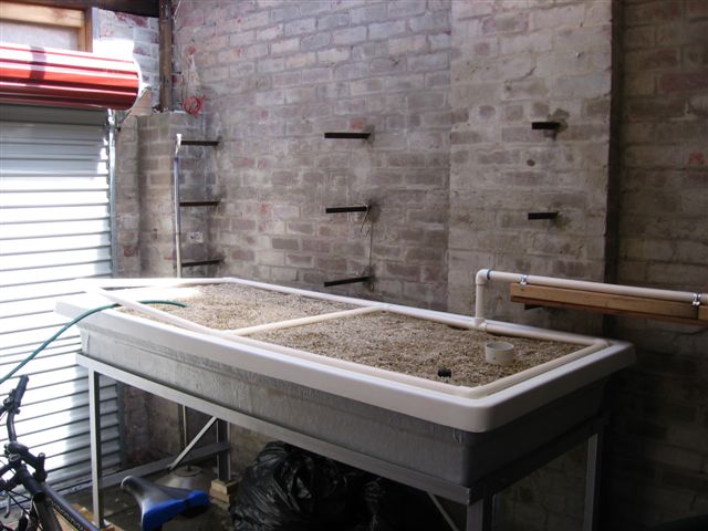 Growbed being flushed (2).JPG