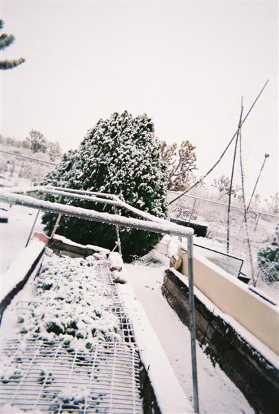 558592-R1-25-24A_026 (Medium).jpg