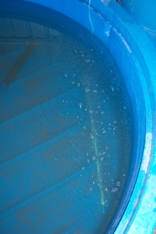 Gnash next system 031.jpg