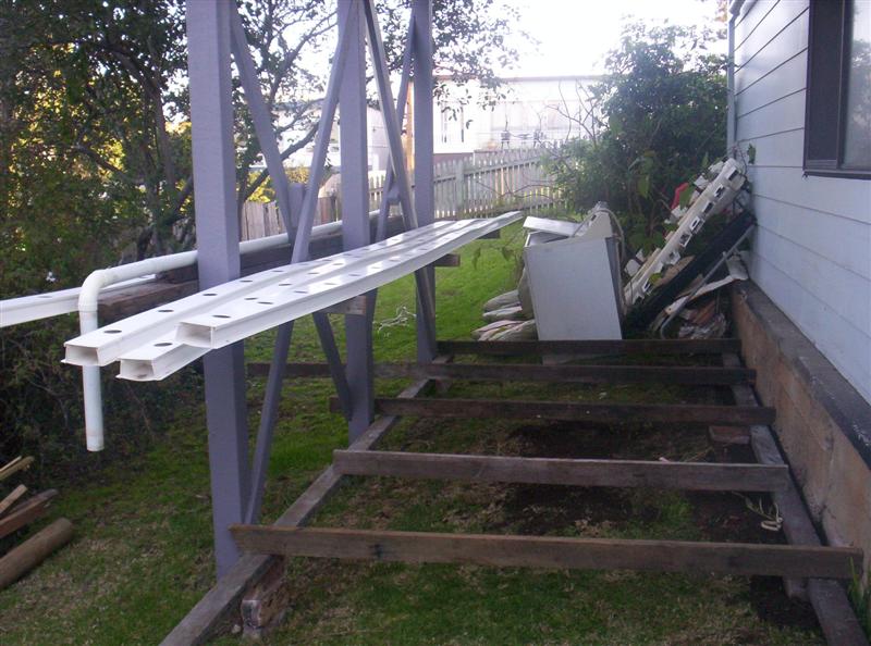 300_2204 (Medium).JPG