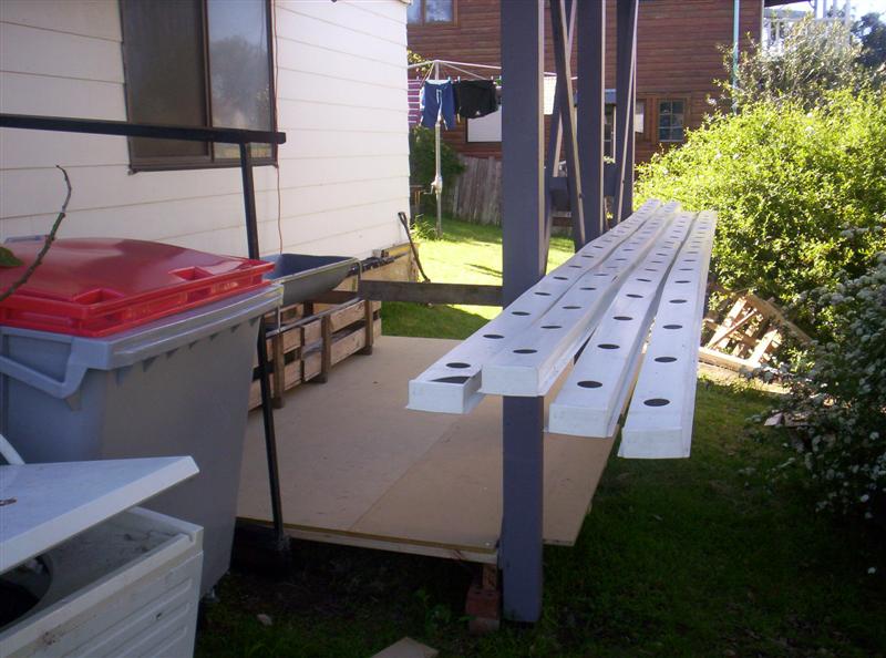 300_2261 (Medium).JPG