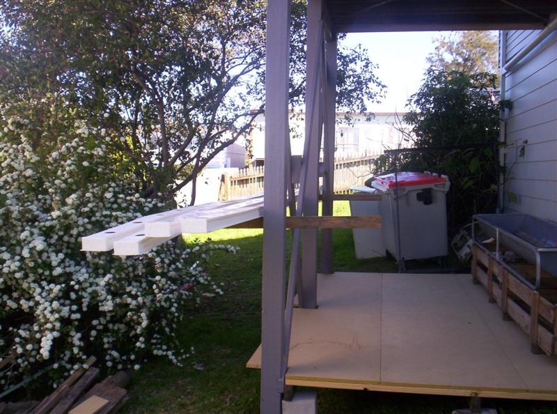 300_2262 (Medium).JPG