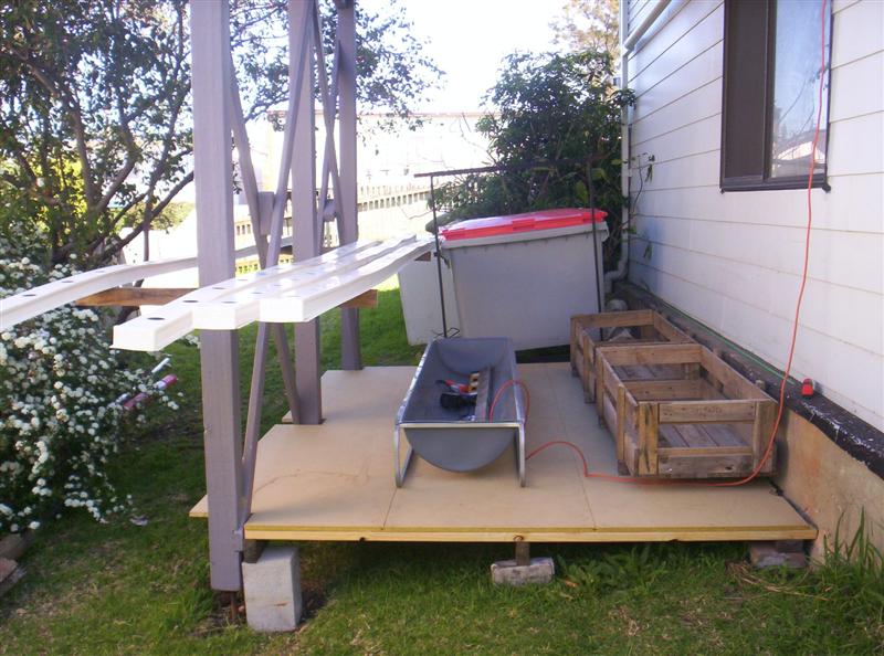 300_2264 (Medium).JPG