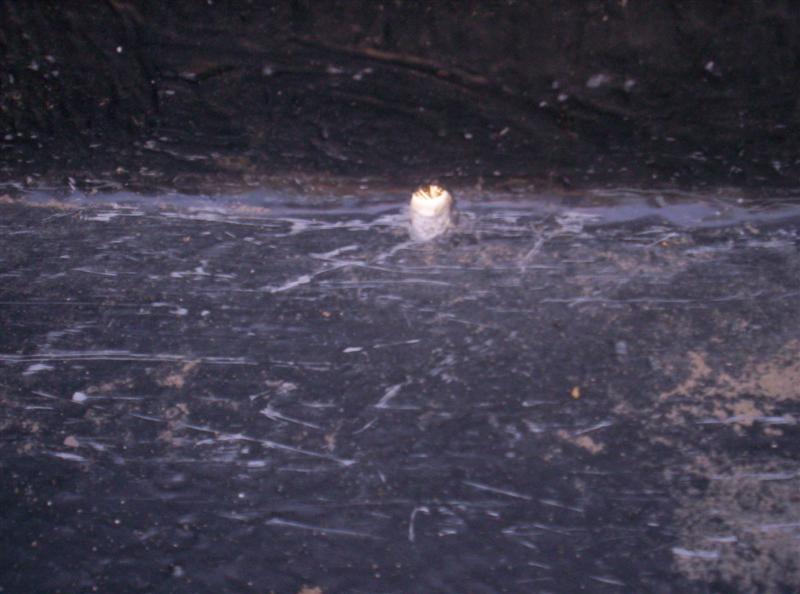 100_2559 (Medium).JPG