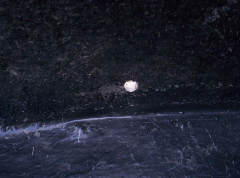 100_2560 (Medium).JPG