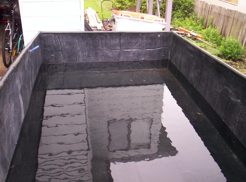 100_2568 (Medium).JPG