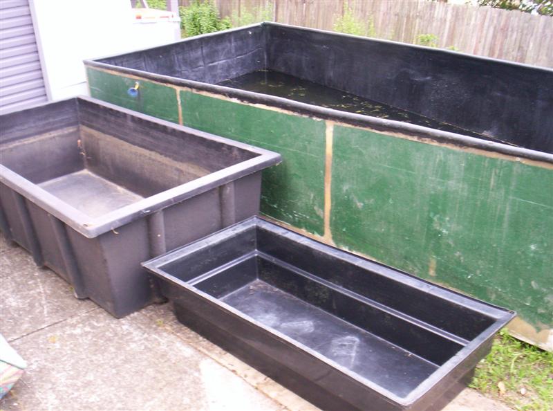 100_3004 (Medium).JPG