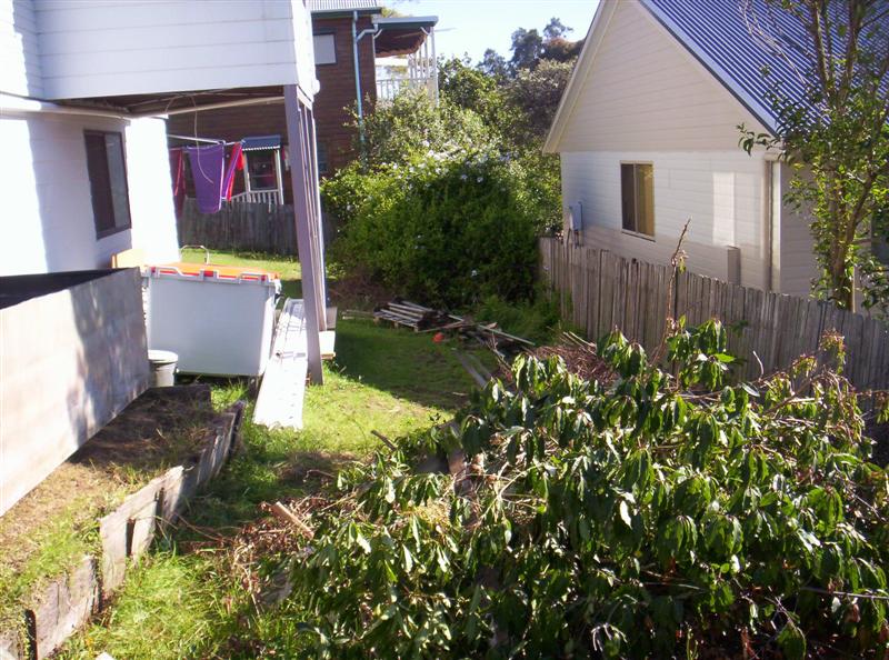 100_3055 (Medium).JPG