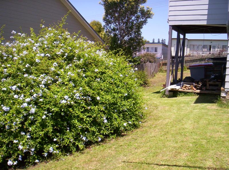 100_3056 (Medium).JPG