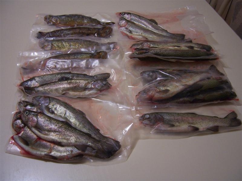 Picture 008 (Medium)