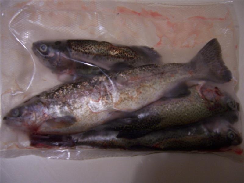 Picture 009 (Medium)