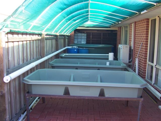 14. Grow Beds on Stands with backbone piping