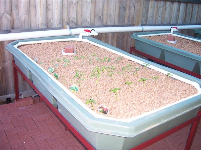 22. Growbed filled with Pea Gravel