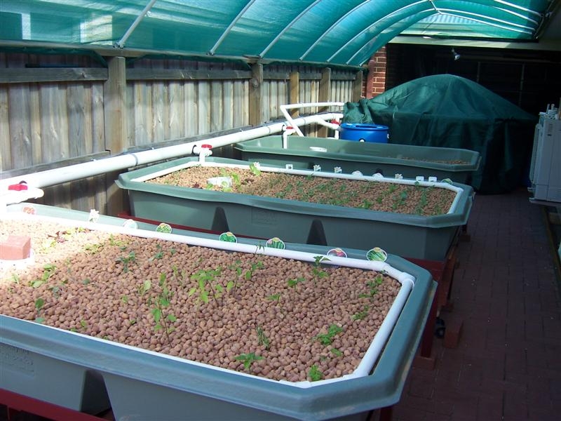 23. Growbeds filled with Pea Gravel