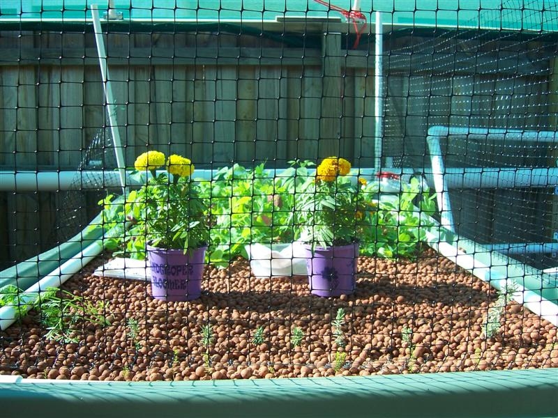 33. Grow Bed 3 Progress