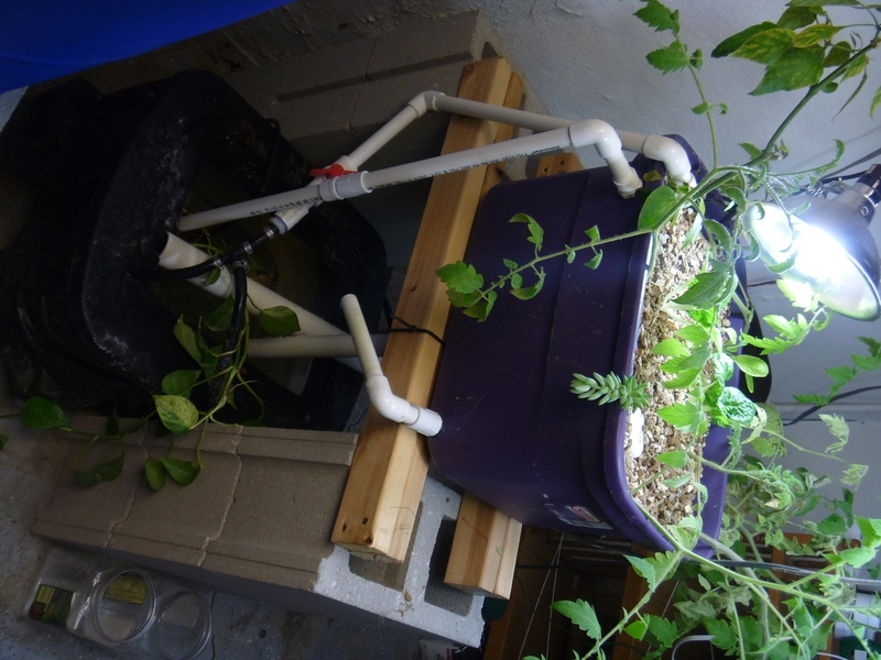 Aquaponics-System-v1.2.2012.04.3001