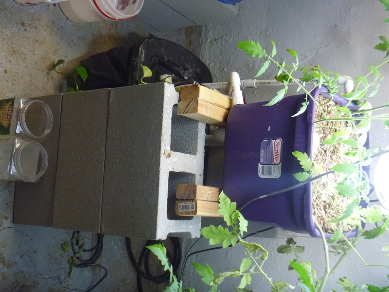 Aquaponics-System-v1.2.2012.04.3007