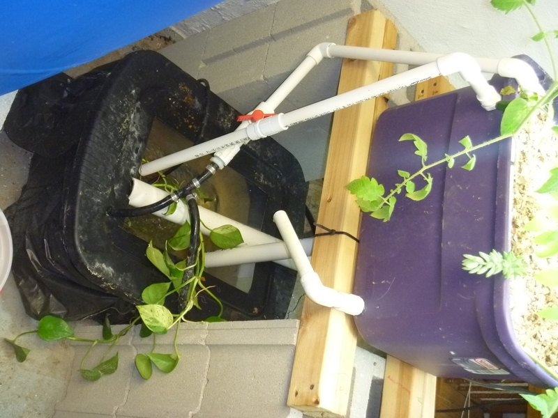 Aquaponics-System-v1.2.2012.04.3003