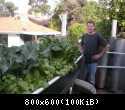 Aquaponic 4 small