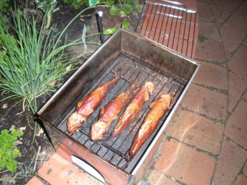 Smoked Trout