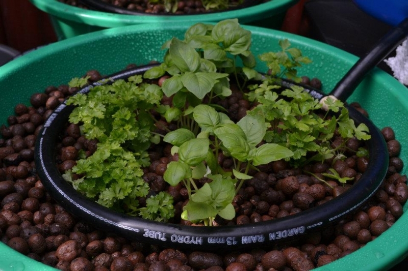 320624 1940054721509 1846659760 1352492 1828466749 n