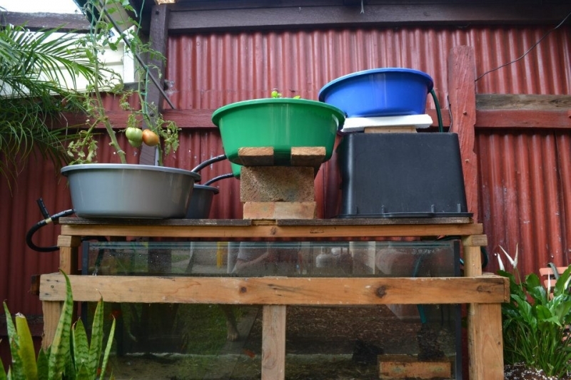 381099 1940054521504 1846659760 1352491 1825294848 n