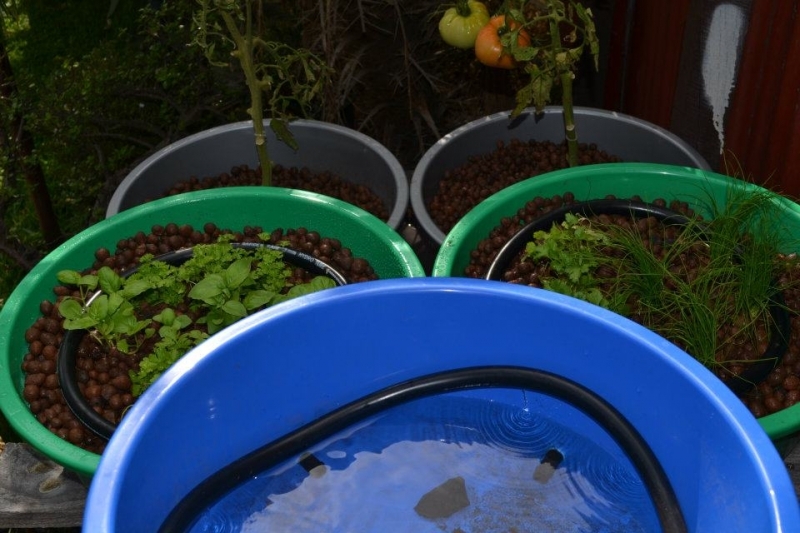 392269 1940055201521 1846659760 1352493 410269307 n