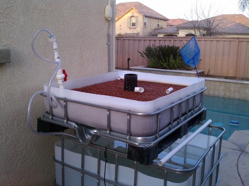 building my IBC system