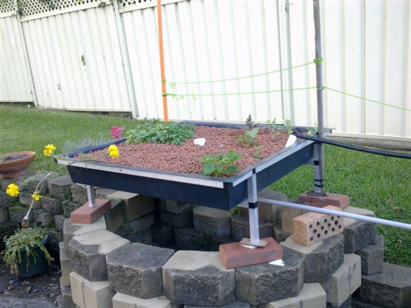 Picture 002 (Medium)