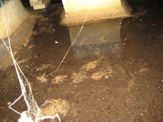 My inaccessible swimming pool