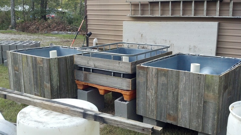 Testing placement for 3 growbeds